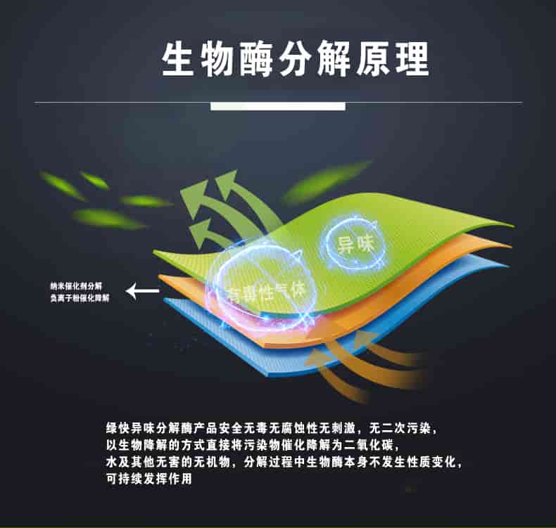 生物酶分解原理，綠快異味分解酶產(chǎn)品安全無(wú)毒無(wú)腐蝕性無(wú)刺激，無(wú)二次污染，以生物降解的方式直接將污染物催化降解為二氧化碳，水及其他無(wú)害的無(wú)機(jī)物，分解過(guò)程中生物酶本身不發(fā)生性質(zhì)變化，可持續(xù)發(fā)揮作用