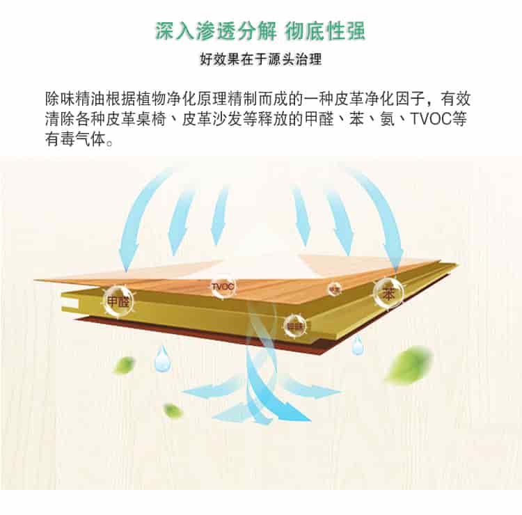 深入滲透分解 徹底性強(qiáng)，好效果在于源頭治理，除味精油根據(jù)植物凈化原理精制而成的一種皮革凈化因子，有效清除各種皮革桌椅丶皮革沙發(fā)等釋放的甲醛丶苯丶氨丶TVOC等 有毒氣體。