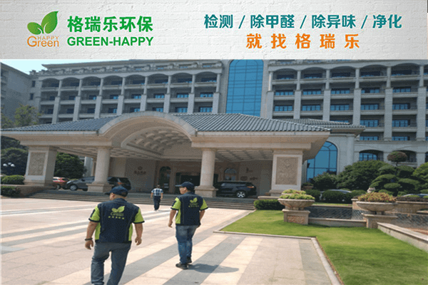 專業(yè)團(tuán)隊(duì)出馬！武漢除甲醛選格瑞樂準(zhǔn)沒錯(cuò)